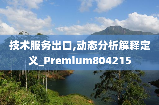 技术服务出口,动态分析解释定义_Premium804215