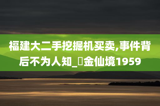 福建大二手挖掘机买卖,事件背后不为人知_‌金仙境1959