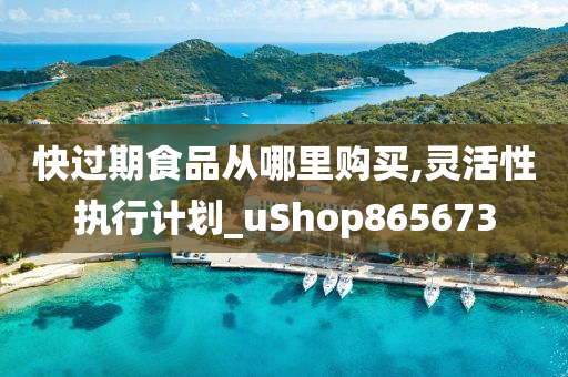 快过期食品从哪里购买,灵活性执行计划_uShop865673