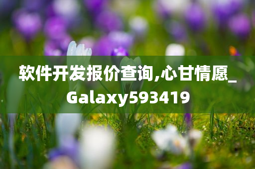 软件开发报价查询,心甘情愿_Galaxy593419