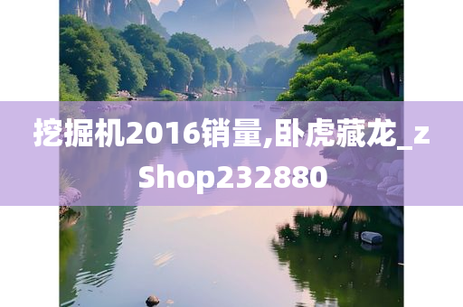 挖掘机2016销量,卧虎藏龙_zShop232880