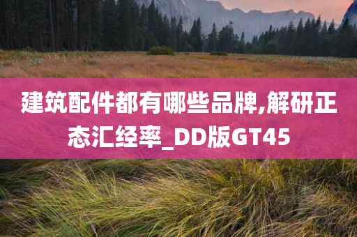 建筑配件都有哪些品牌,解研正态汇经率_DD版GT45