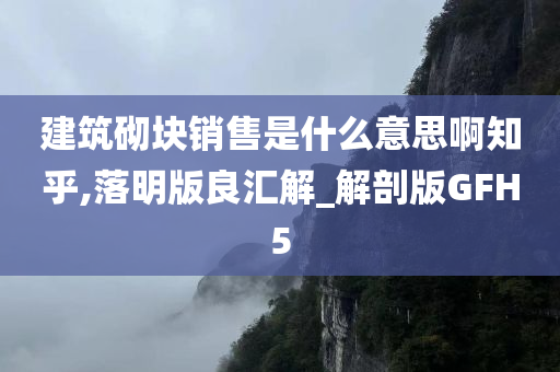 建筑砌块销售是什么意思啊知乎,落明版良汇解_解剖版GFH5