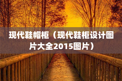 现代鞋帽柜（现代鞋柜设计图片大全2015图片）