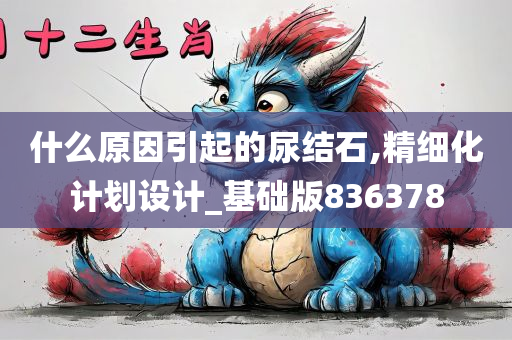 什么原因引起的尿结石,精细化计划设计_基础版836378