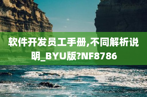 软件开发员工手册,不同解析说明_BYU版?NF8786