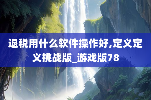 退税用什么软件操作好,定义定义挑战版_游戏版78