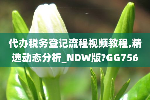 代办税务登记流程视频教程,精选动态分析_NDW版?GG756