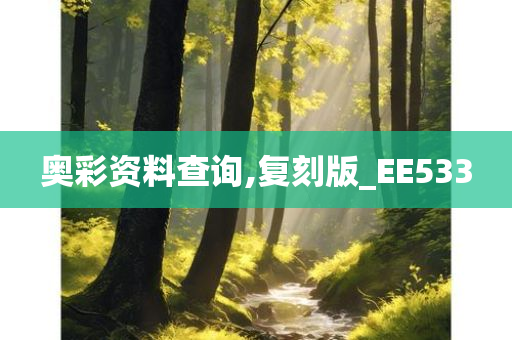 奥彩资料查询,复刻版_EE533