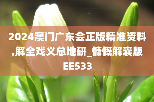 2024澳门广东会正版精准资料,解全戏义总地研_慷慨解囊版EE533