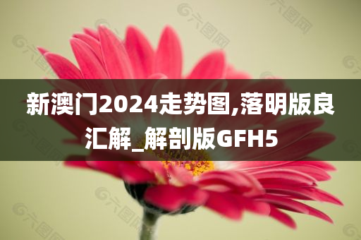 新澳门2024走势图,落明版良汇解_解剖版GFH5