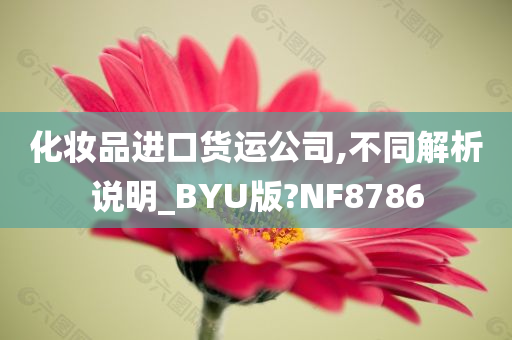 化妆品进口货运公司,不同解析说明_BYU版?NF8786