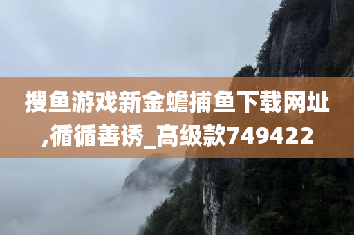 搜鱼游戏新金蟾捕鱼下载网址,循循善诱_高级款749422