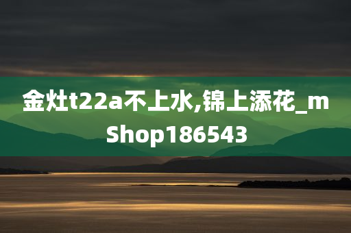 金灶t22a不上水,锦上添花_mShop186543