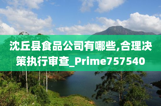 沈丘县食品公司有哪些,合理决策执行审查_Prime757540