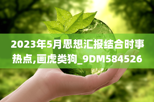 2023年5月思想汇报结合时事热点,画虎类狗_9DM584526