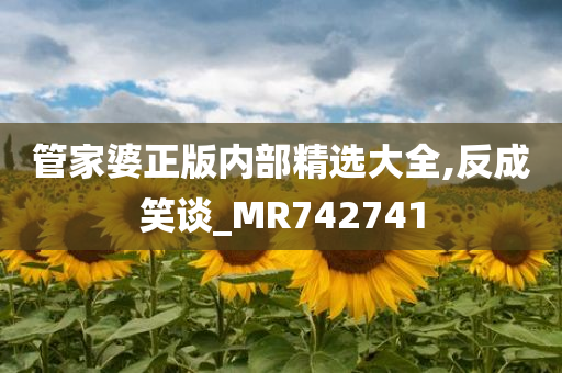 管家婆正版内部精选大全,反成笑谈_MR742741