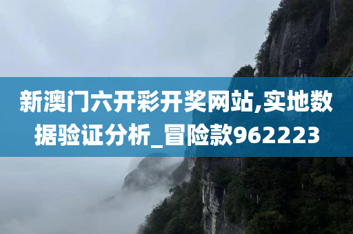 新澳门六开彩开奖网站,实地数据验证分析_冒险款962223