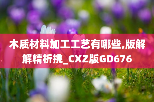 木质材料加工工艺有哪些,版解解精析挑_CXZ版GD676