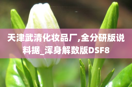 天津武清化妆品厂,全分研版说料据_浑身解数版DSF8