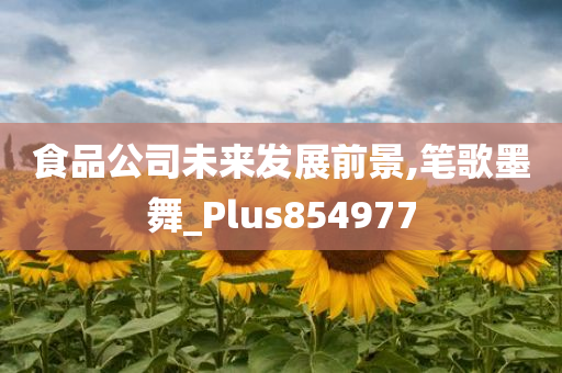 食品公司未来发展前景,笔歌墨舞_Plus854977