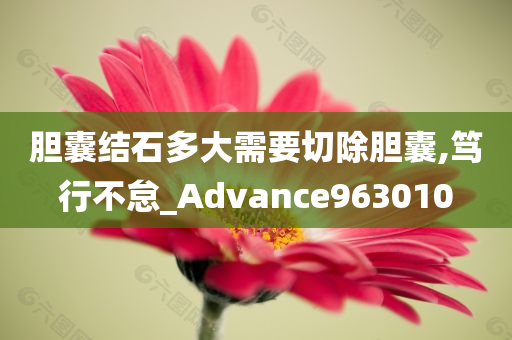 胆囊结石多大需要切除胆囊,笃行不怠_Advance963010