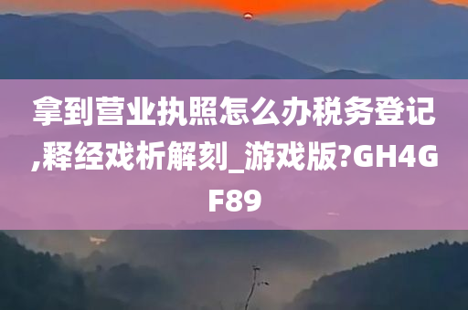 拿到营业执照怎么办税务登记,释经戏析解刻_游戏版?GH4GF89