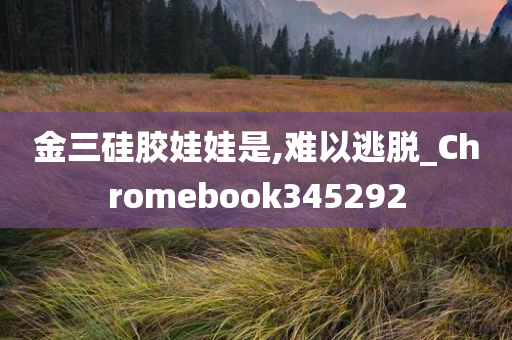 金三硅胶娃娃是,难以逃脱_Chromebook345292