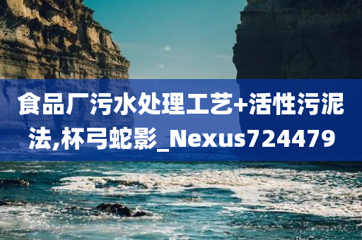 食品厂污水处理工艺+活性污泥法,杯弓蛇影_Nexus724479