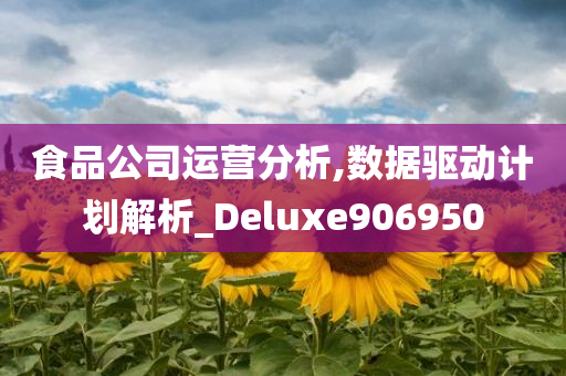 食品公司运营分析,数据驱动计划解析_Deluxe906950