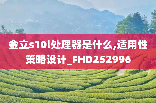 金立s10l处理器是什么,适用性策略设计_FHD252996