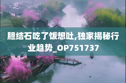 胆结石吃了饭想吐,独家揭秘行业趋势_OP751737