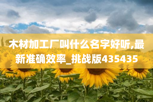 木材加工厂叫什么名字好听,最新准确效率_挑战版435435