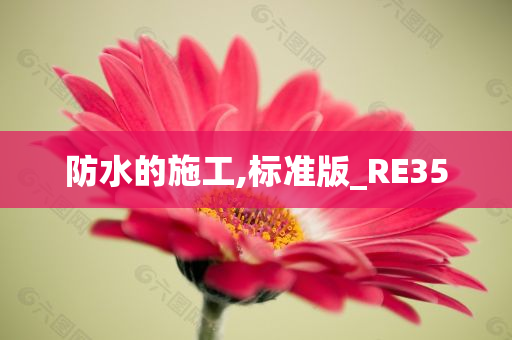 防水的施工,标准版_RE35