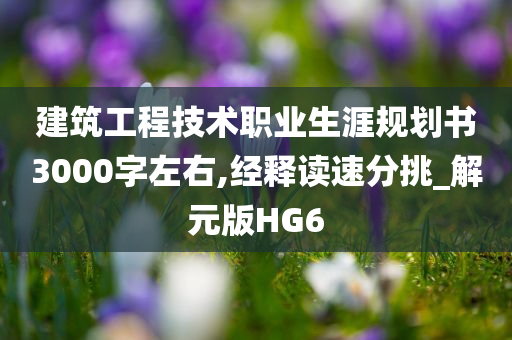 建筑工程技术职业生涯规划书3000字左右,经释读速分挑_解元版HG6