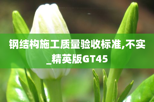 钢结构施工质量验收标准,不实_精英版GT45