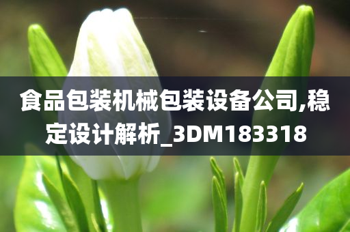 食品包装机械包装设备公司,稳定设计解析_3DM183318