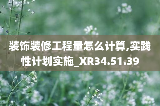 装饰装修工程量怎么计算,实践性计划实施_XR34.51.39