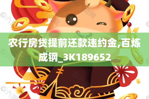 农行房贷提前还款违约金,百炼成钢_3K189652