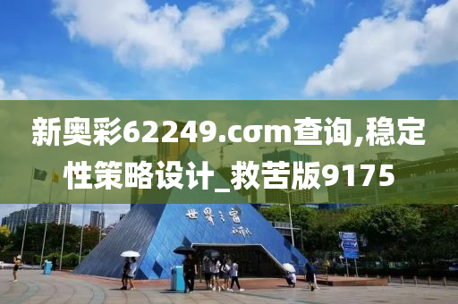 新奥彩62249.cσm查询,稳定性策略设计_救苦版9175