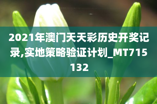 2021年澳门天天彩历史开奖记录,实地策略验证计划_MT715132