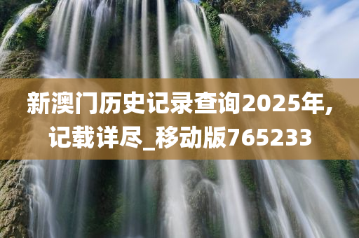 新澳门历史记录查询2025年,记载详尽_移动版765233