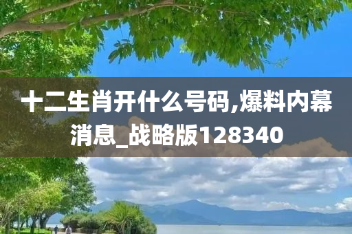 十二生肖开什么号码,爆料内幕消息_战略版128340