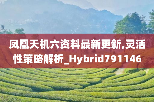 凤凰天机六资料最新更新,灵活性策略解析_Hybrid791146