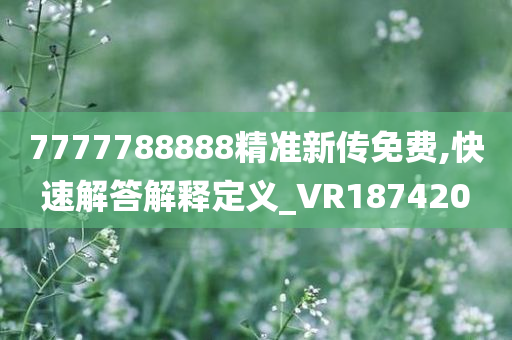 7777788888精准新传免费,快速解答解释定义_VR187420