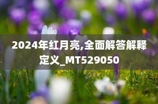 2024年红月亮,全面解答解释定义_MT529050