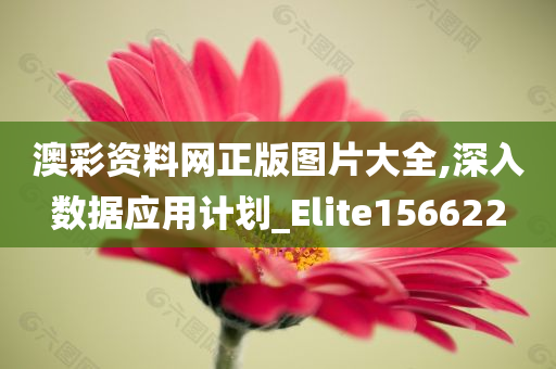 澳彩资料网正版图片大全,深入数据应用计划_Elite156622