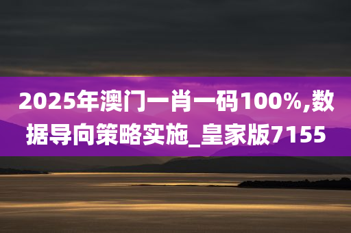 2025年澳门一肖一码100%,数据导向策略实施_皇家版7155