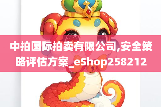 中拍国际拍卖有限公司,安全策略评估方案_eShop258212