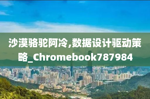 沙漠骆驼阿冷,数据设计驱动策略_Chromebook787984